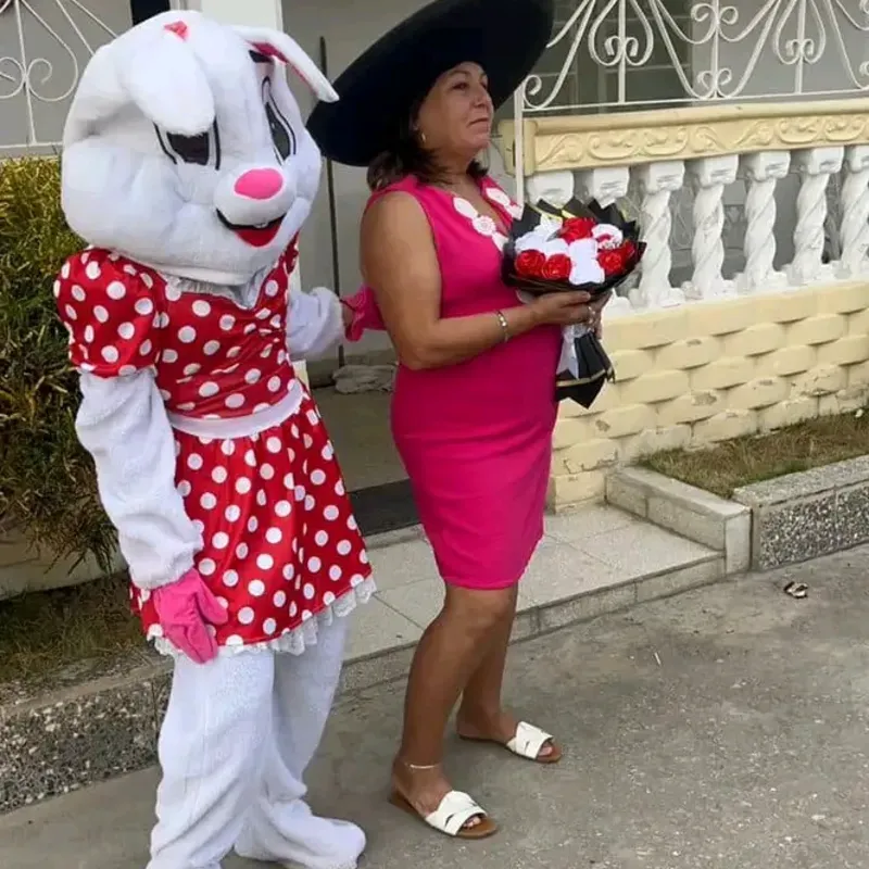 Combos para entrega sorpresa