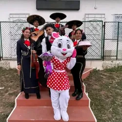 Combos para entrega sorpresa