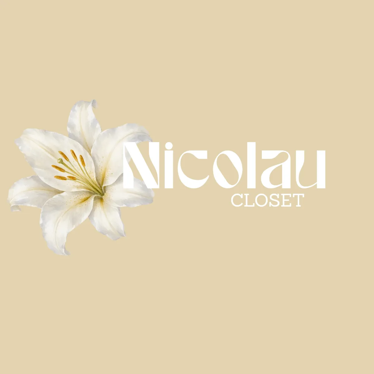 NICOLAU🌸