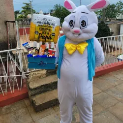Bunny