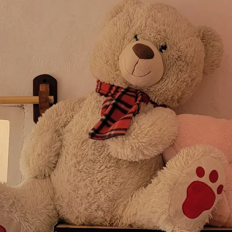 Oso con bufanda