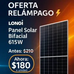 Panel Solar Bifacial LONGi 615W 