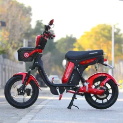 Bici Moto YOAZAKY 🔴