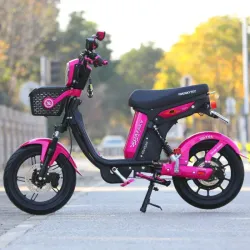 Bici Moto YOAZAKY 🩷