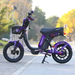 Bici Moto YOAZAKY 🟣