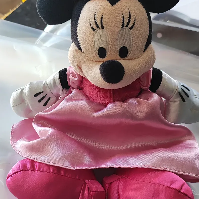 Minnie Mouse 