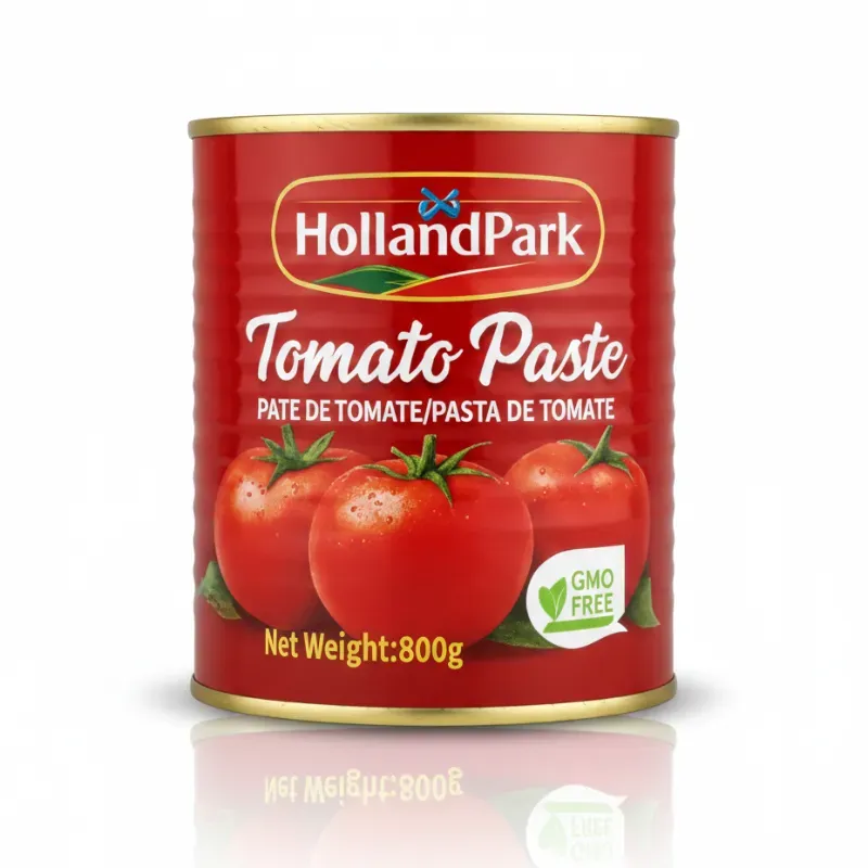 Pasta de Tomate Holland Park - 800g