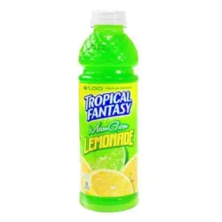 Tropical Fantasy Lemonade - 20 fl oz (591 ml)