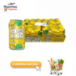 Caja de 24 Refrescos de Piña