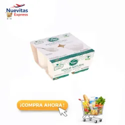 Set de 4 Yogurt Natural 