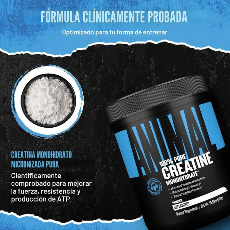 Creatina monohidratada Animal
