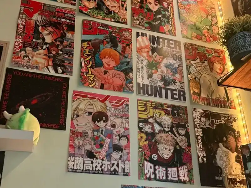 Pósters Simples (Papel)