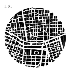 1.01