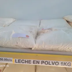 Leche en polvo