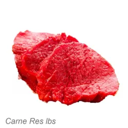 Carne de Res