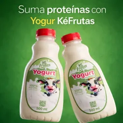 Yogurt Probiotico