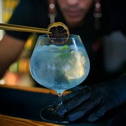 Gin Tonic 