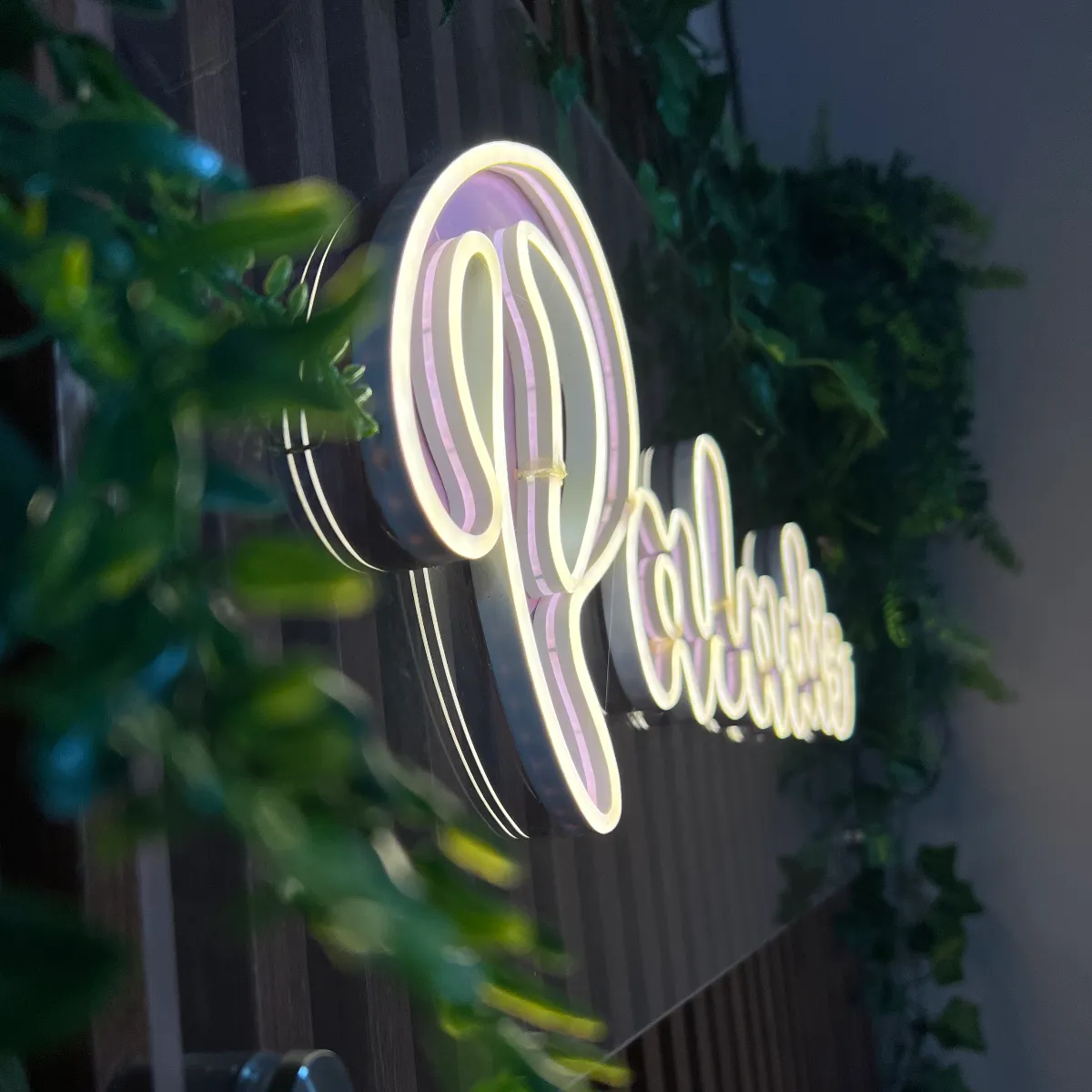 Paladis_cafeypostres