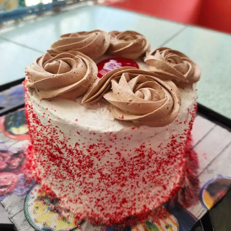 Mini Cake de 15 cm. Relleno de mousse +  crema de chocolate con almendras