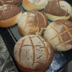 Conchas mexicanas 