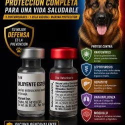 Vacuna pentavalente para perros