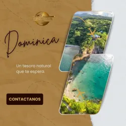 Vuelos Havana- Dominica