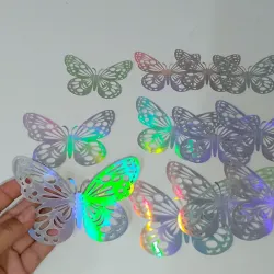 Estuche de mariposa plata #10