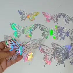 Estuche de mariposa plata #11