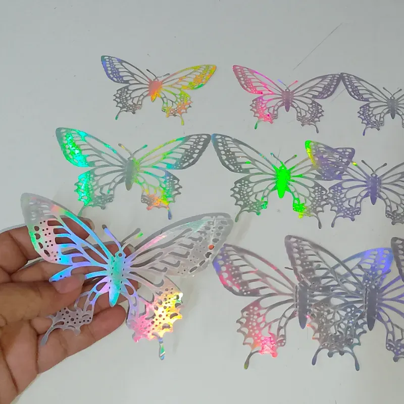 Estuche de mariposa plata #11