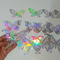 Estuche de mariposa plata #12