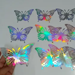 Estuche de mariposa plata #2