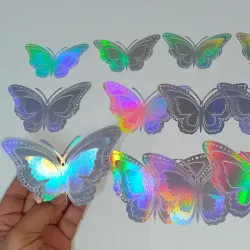 Estuche de mariposa plata #3