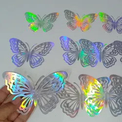 Estuche de mariposa plata #4