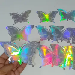 Estuche de mariposa plata #7