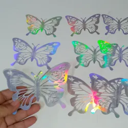 Estuche de mariposa plata #9