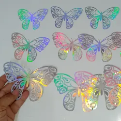 Estuche de mariposas plata #1