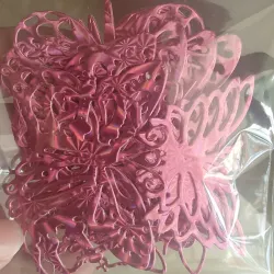 Estuche mariposa variada rosa holográfico 27x