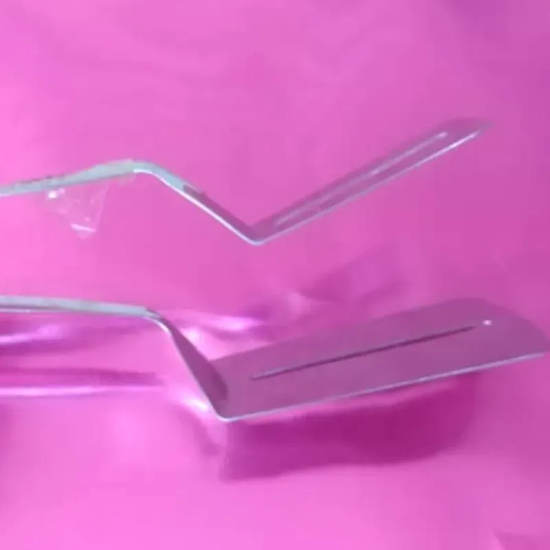 Pinza