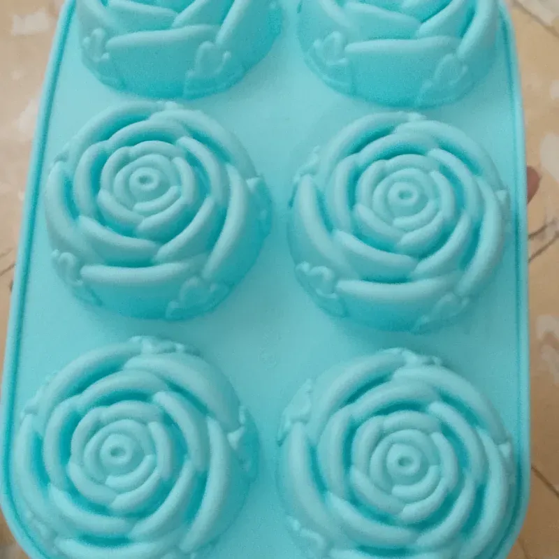Rosa 6 capacidades 