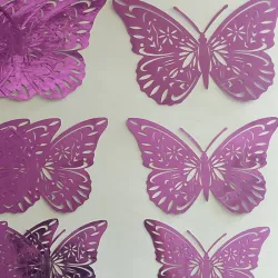 Set de 12 mariposas 