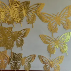 Set de mariposas
