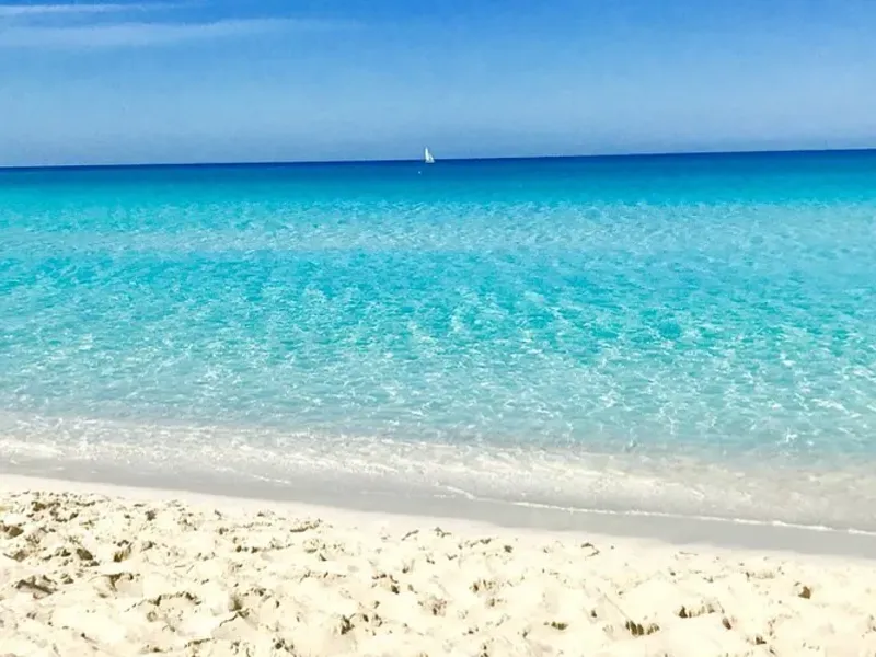 ✨️🏝Paradises🏝✨️ Económicas