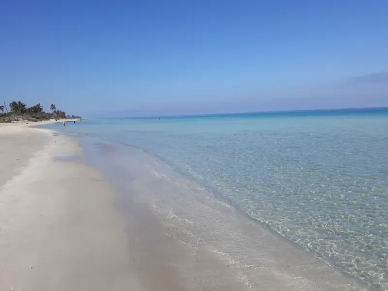 ✨🏝Hospedajes Paradise🏝✨