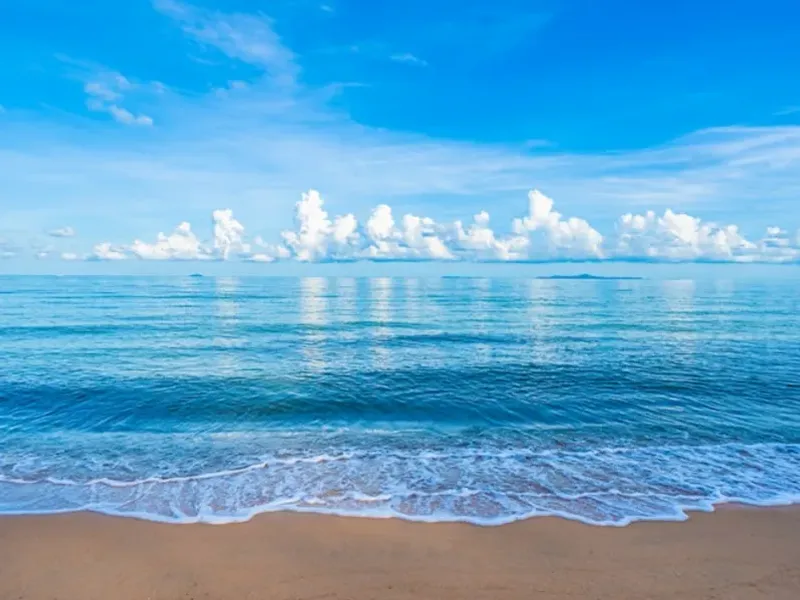✨️🏝Paradises🏝✨️ 7 Habitaciones 