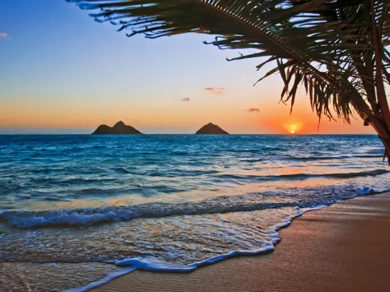 ✨️🏝Paradises🏝✨️ 1 Habitación 