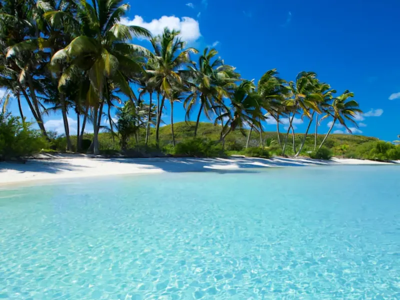 ✨️🏝Paradises🏝✨️ 3 Habitaciones 