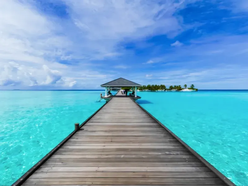 🏝✨️Paradises✨️🏝 5 Habitaciones