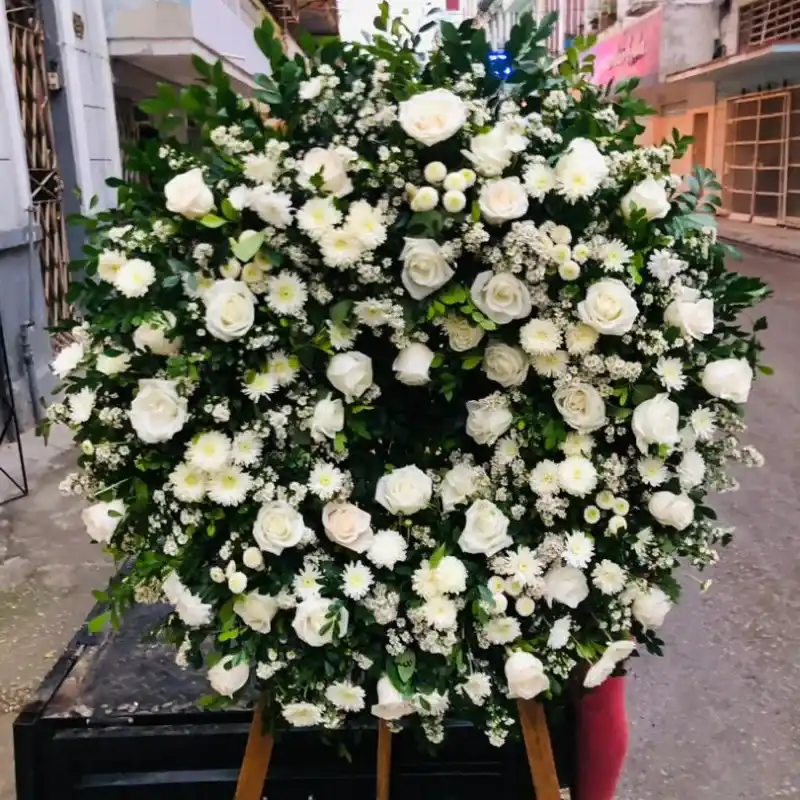 CORONA GRANDE 
