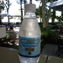 Agua natural ( 330 ml )