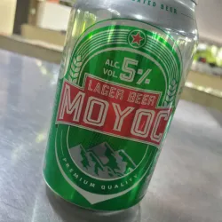 Cerveza Importada lata 